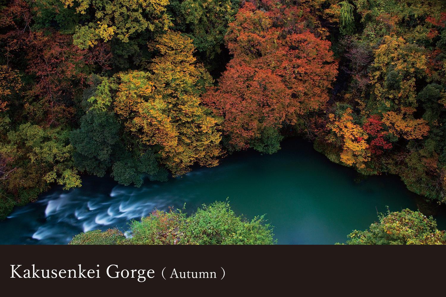 Yamanaka Onsen Kagari Kisshotei Exterior foto